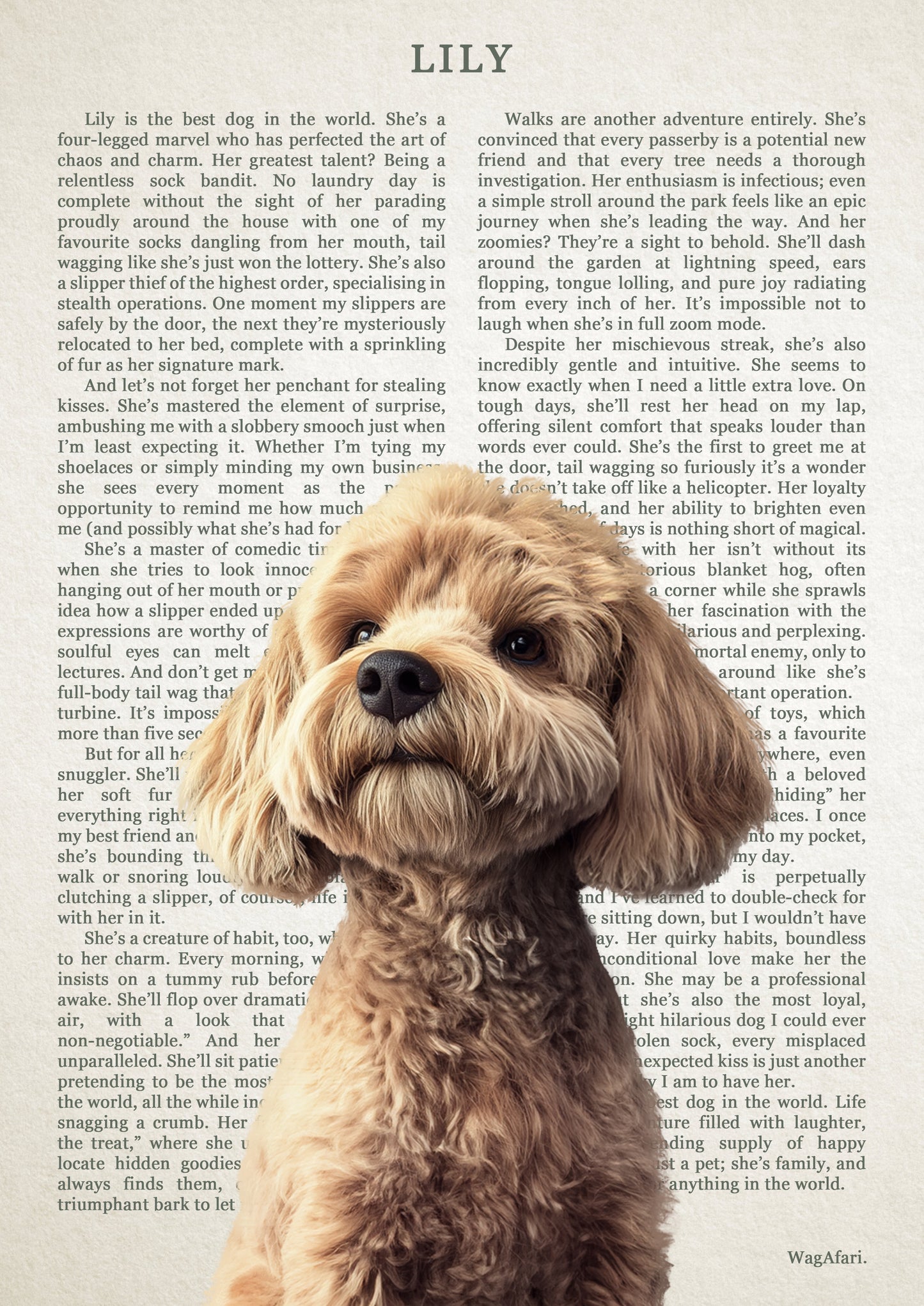 Dictionary Art - 'The Best Dog in the World'