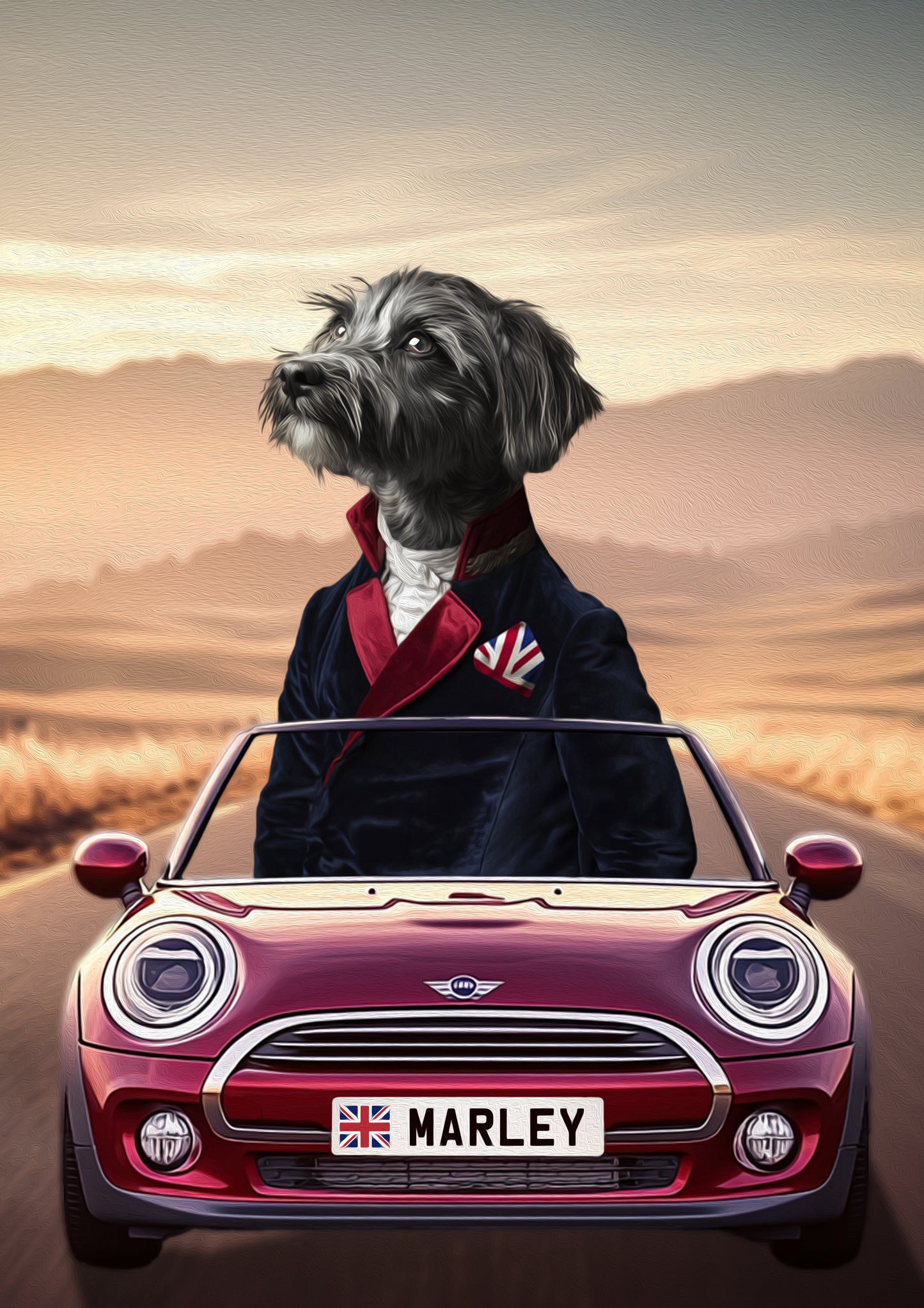 The Great British Bark-Off - Road Trip Mini Cooper