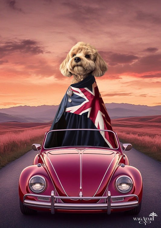 The Great British Bark-Off - Road Trip VW Beetle