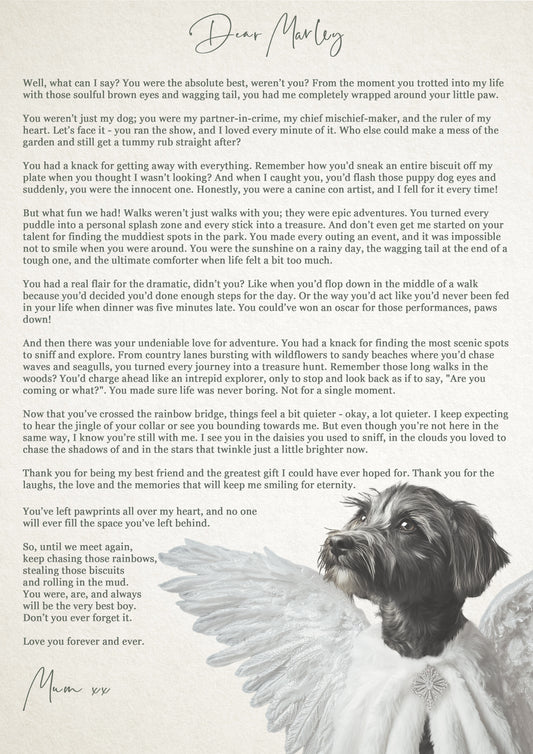 Dictionary Art - 'A Letter to my Dog' (Rainbow Bridge / Remembrance)