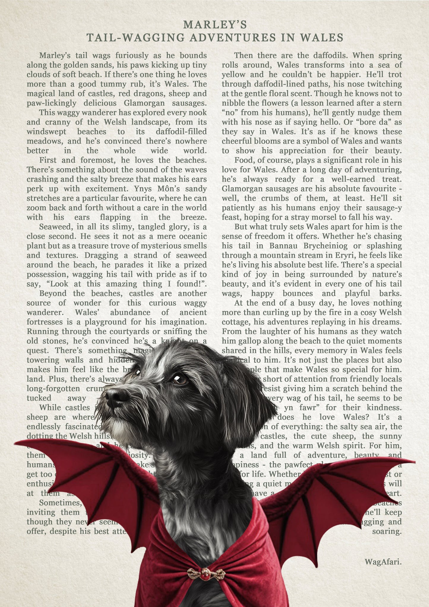 Dictionary Art - 'Tail-Wagging Adventures in Wales'