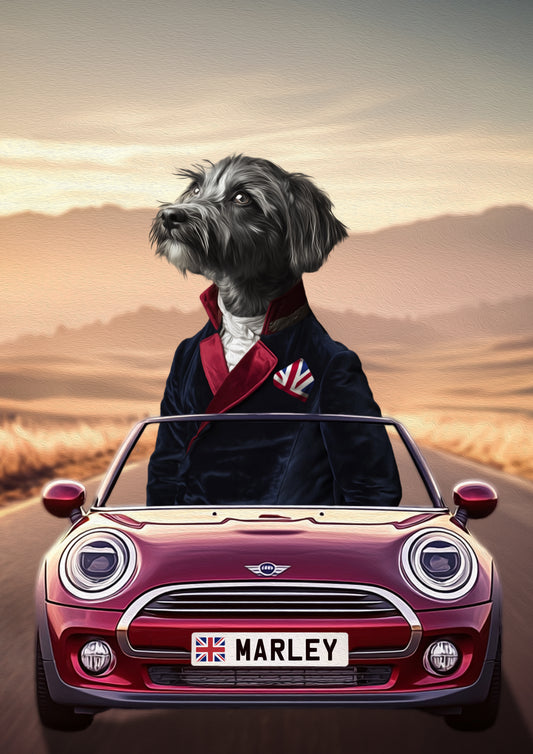 The Great British Bark-Off - Road Trip Mini Cooper